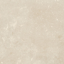2135 Leone Cream